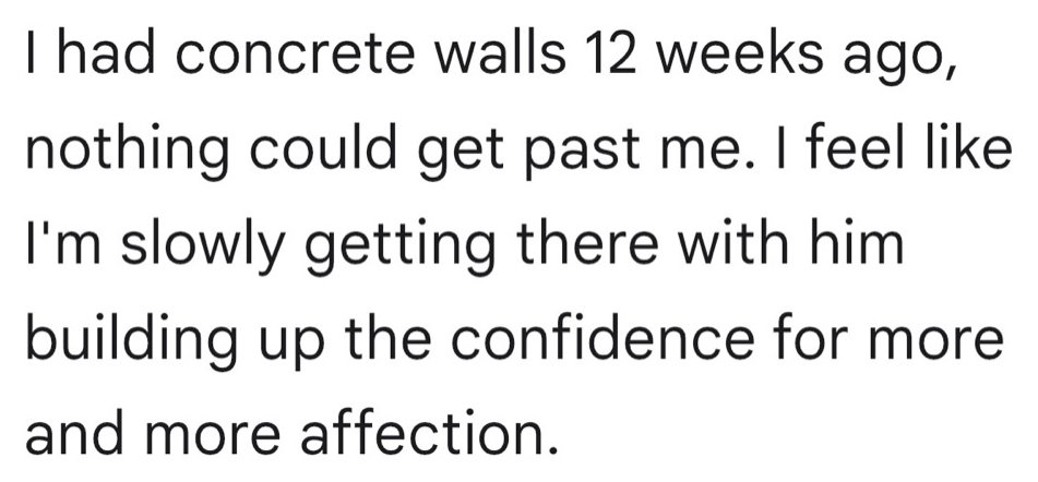 Written testimonial: I had concrete walls 12 weeks ago, nothing could get past me. I feel like I'm slowly getting there with him building up the confidence for more and more affection.
